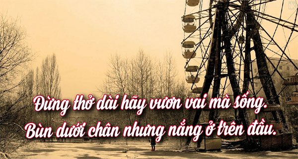 những câu nói hay về cuộc sống