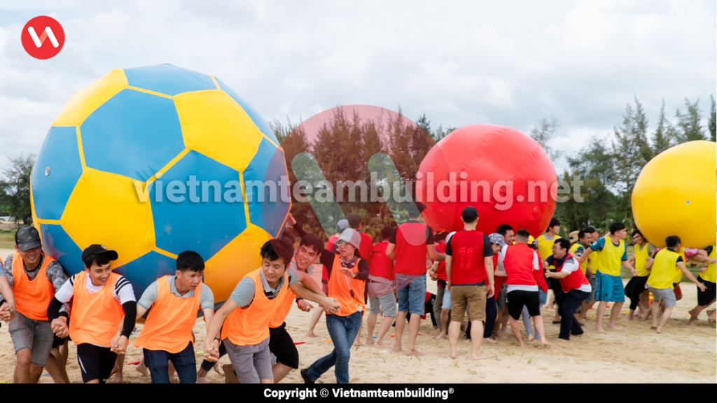 Công Ty Tổ Chức Team Building Tại Quảng Nam