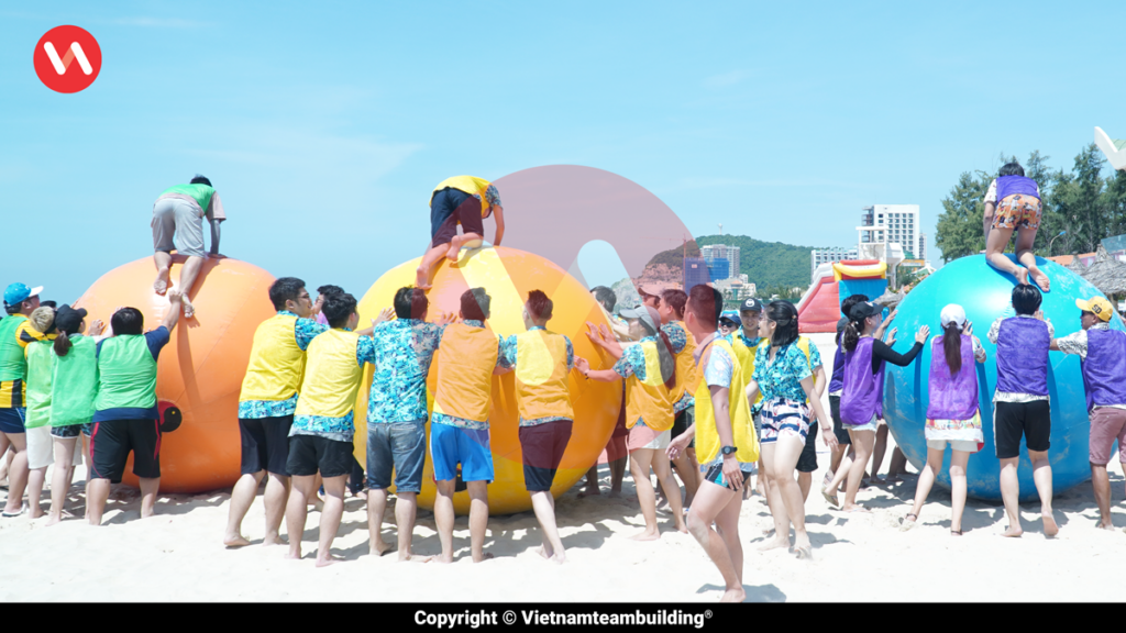 Công ty tổ chức team building tại Vũng Tàu