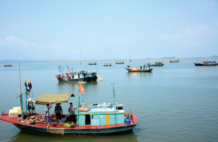 Mũi Sa Vĩ Trà Cổ, Móng Cái, Quảng Ninh